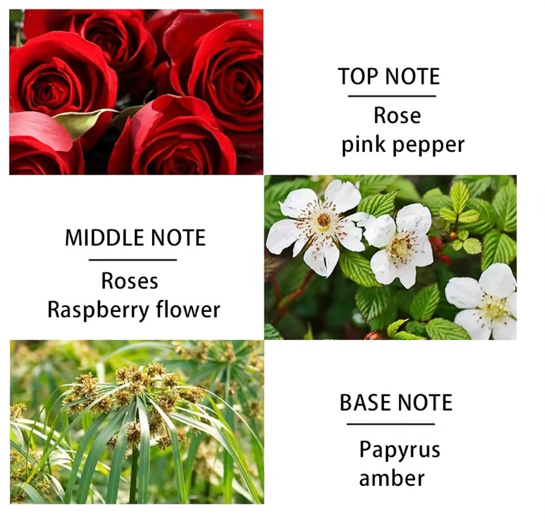 Midnight Rose Perfume